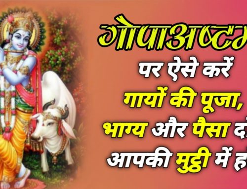 Gopashtami गोपाष्टमी पर ऐसे करें गायों की पूजा, भाग्य और पैसा दोनों आपकी मुट्ठी में होंगे