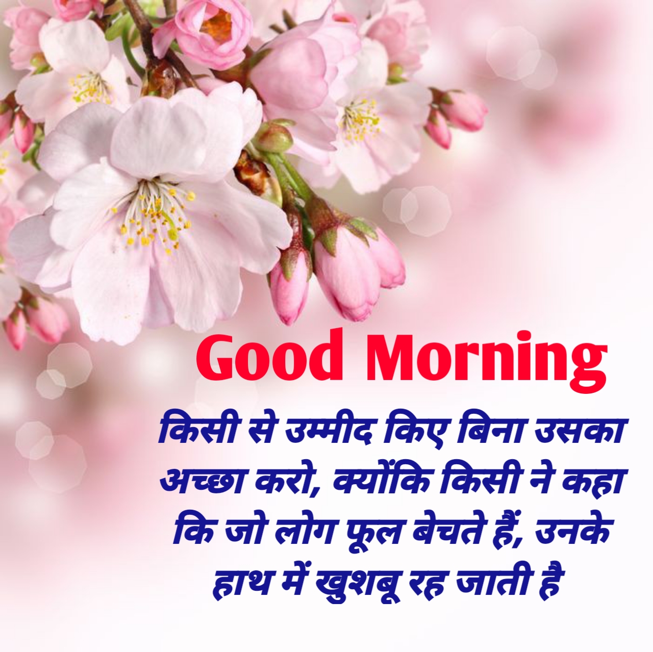 100+ Good Morning Quotes in Hindi with Photo for Whatsapp Facebook -  RadheRadheje